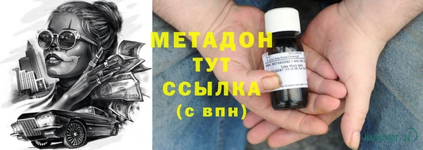 шишки Горняк
