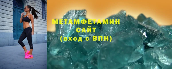 шишки Горняк