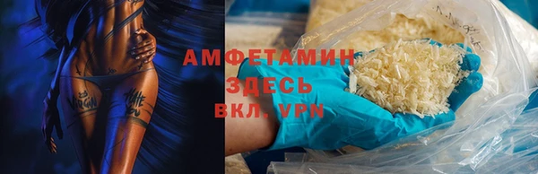 шишки Горняк