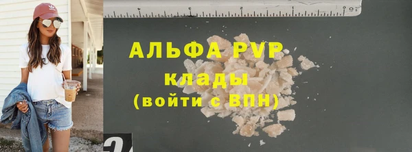 шишки Горняк