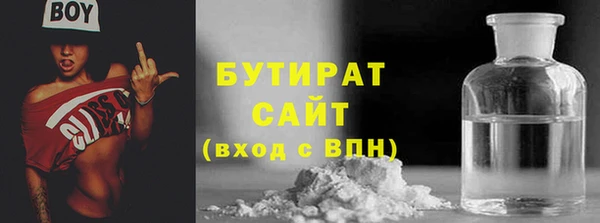 шишки Горняк