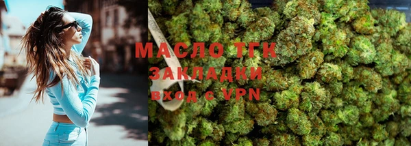 шишки Горняк