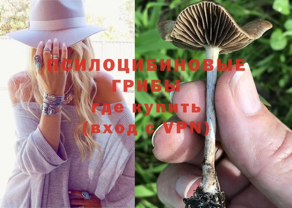 ECSTASY Горнозаводск