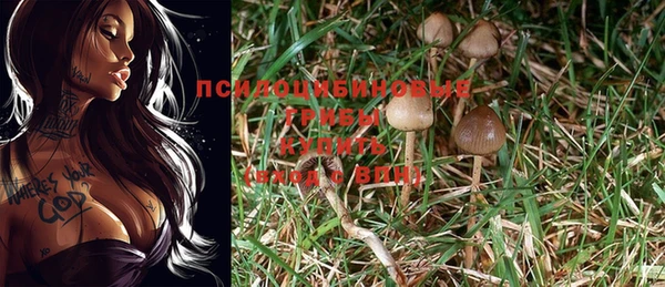 ECSTASY Горнозаводск