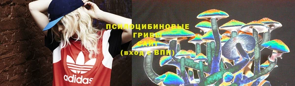 ECSTASY Горнозаводск