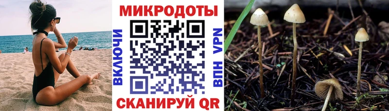 Купить закладки  Котельники  Псилоцибиновые грибы GOLDEN TEACHER 